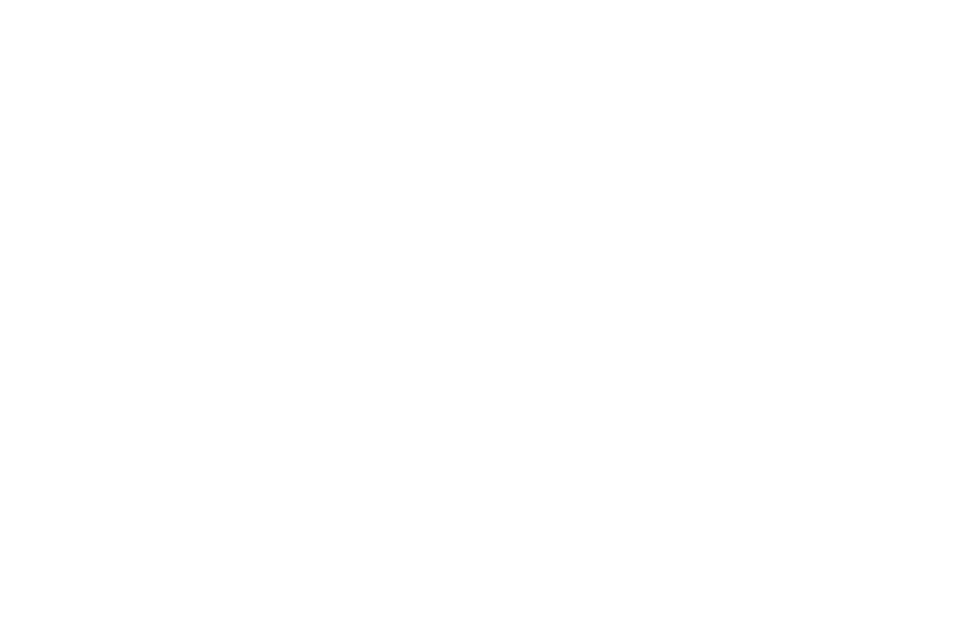 èSenza Japan logo